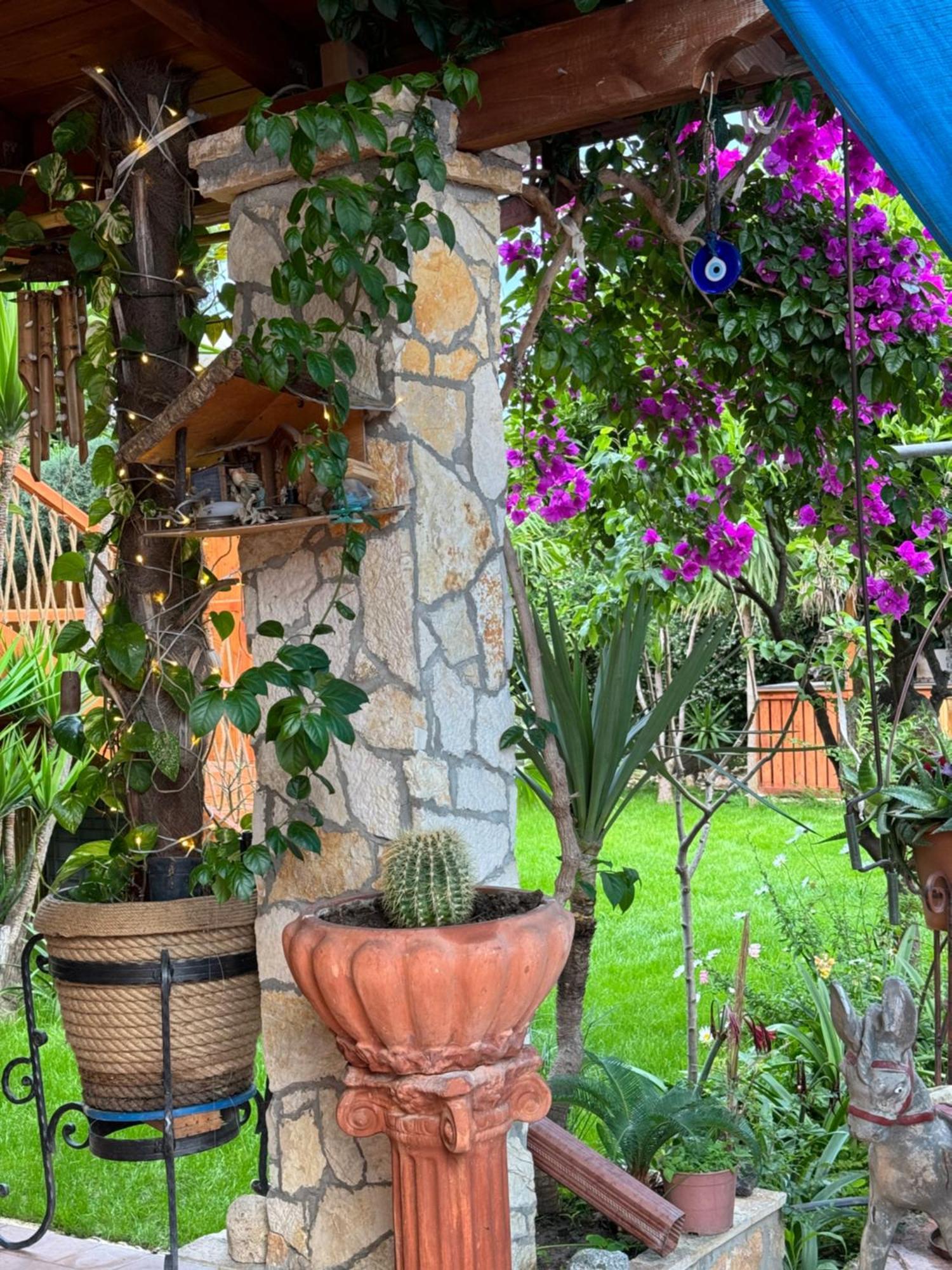 Villa Verde Vlore Vlorë